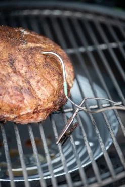 Big Green Egg Eggenius Temperatuur Controller -Barbecue Serie Winkel big green egg eggenius temperatuur controller 4