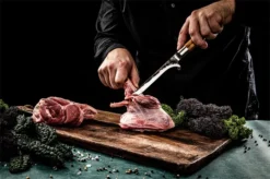 Forged Olive Uitbeenmes 16cm -Barbecue Serie Winkel forged olive uitbeenmes 16cm 2