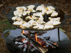 Petromax Smeedijzeren Grilplaat / Vuurschaal -Barbecue Serie Winkel petromax smeedijzeren grilplaat vuurschaal 3